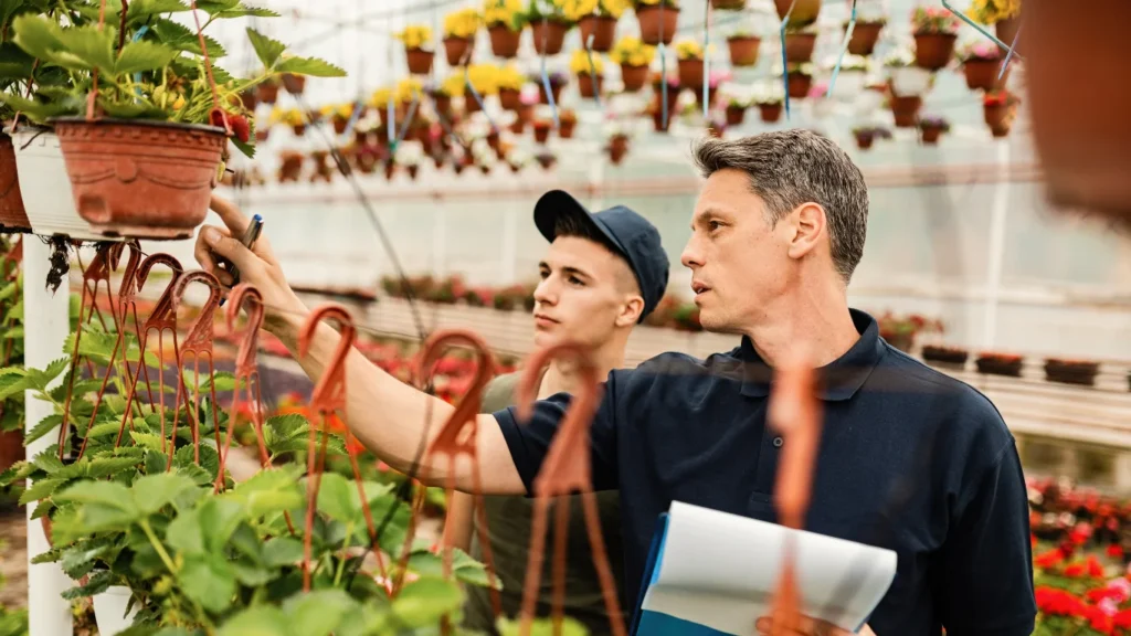 Garden Guide Homenumental: Guide for Building a Beautiful and Sustainable Garden Garden Guide Homenumental